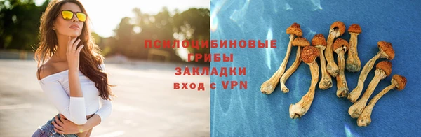 альфа пвп Горнозаводск