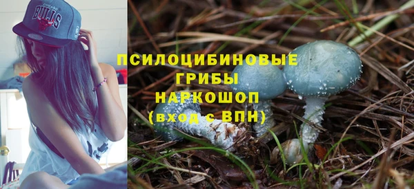 альфа пвп Горнозаводск