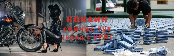 mdpv Горняк